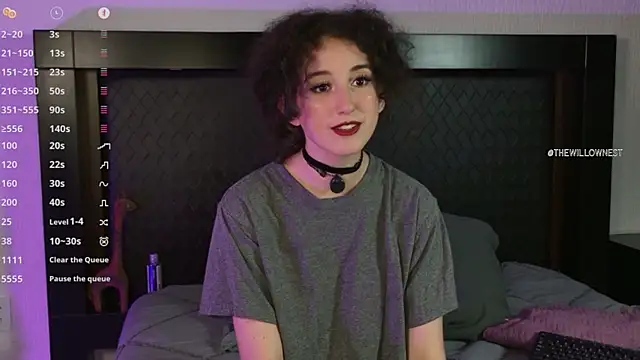 thewillownest_ webcam