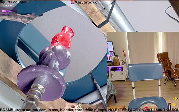 MaryBrook1 webcam