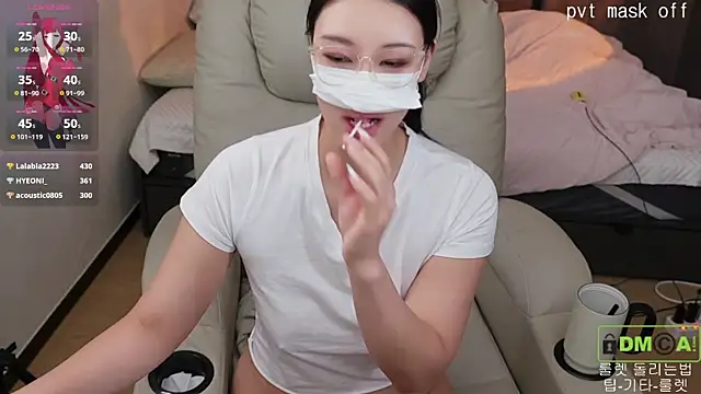 Kor_Cat webcam