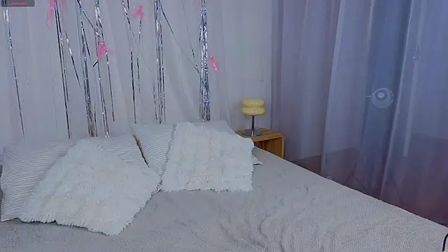 e1v1s webcam