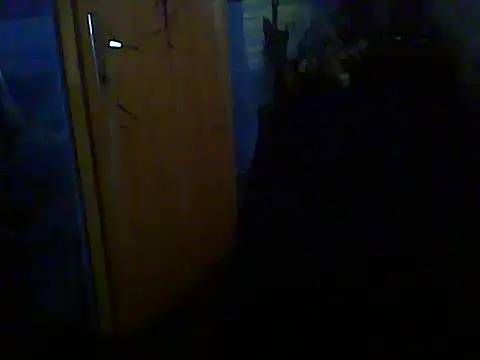 Dejanaceking webcam