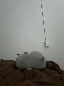 -Honaa- webcam