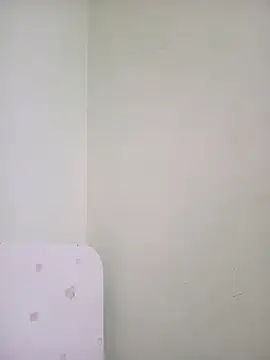 sua_sub_ webcam
