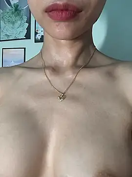 Pu688 webcam