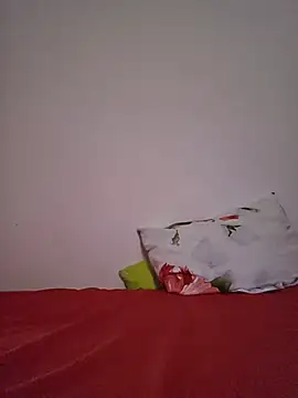 altinya webcam
