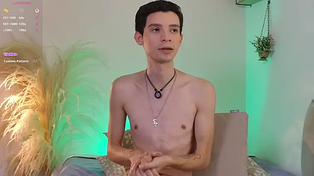 VicenteFerrer webcam