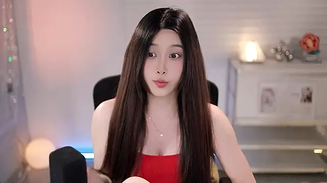SleepArtist webcam