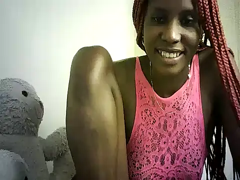 DelteAfriq webcam