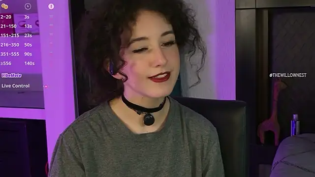 thewillownest_ webcam