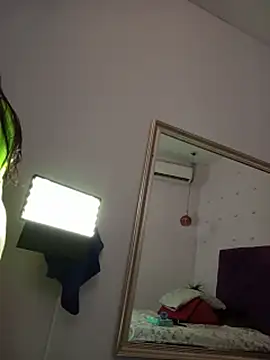 haileystone webcam