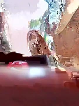 Beyond1978 webcam