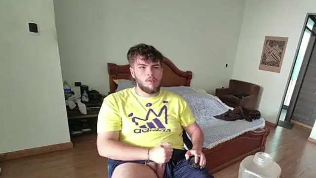 lipzard webcam