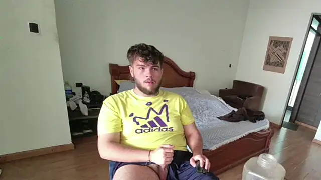 lipzard webcam