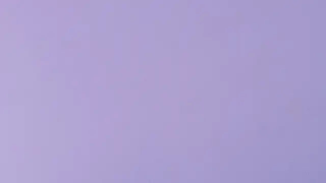 rubihops webcam