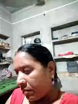 Loomaraj webcam