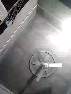 Loomaraj webcam