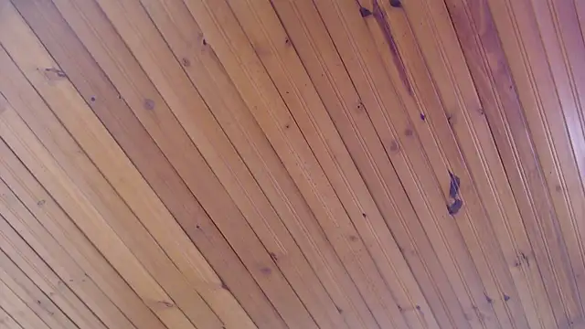 AyameFoxy webcam