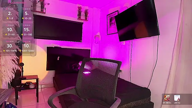 imgerver webcam