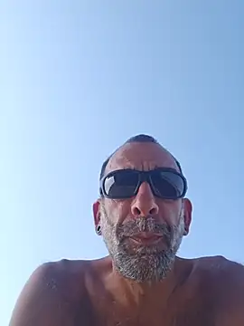 Stingles webcam