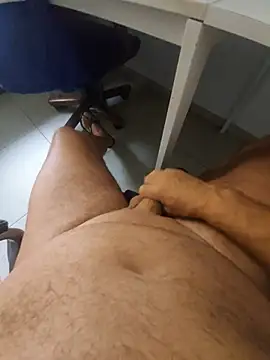 hpp66 webcam
