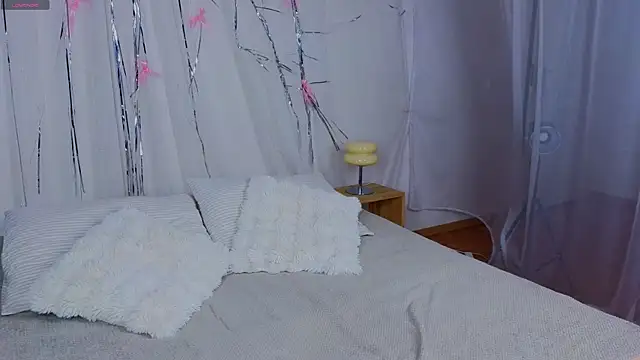 e1v1s webcam