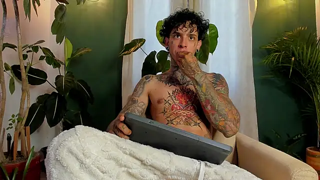 Aron_ford webcam