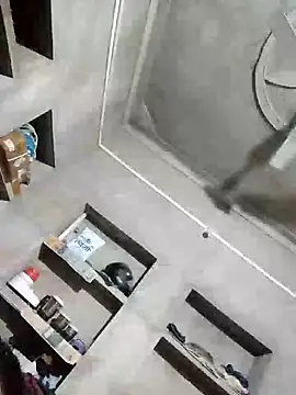 Loomaraj webcam