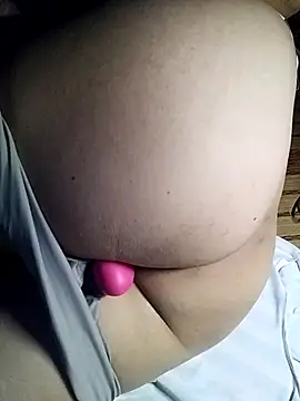 -sansan- webcam
