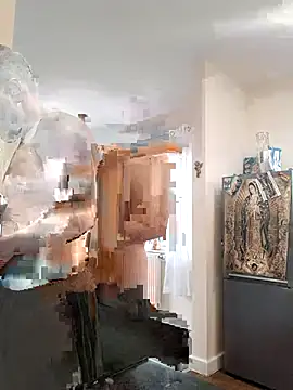 minim388 webcam