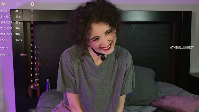 thewillownest_ webcam