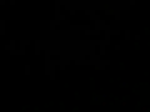 100blkdav webcam