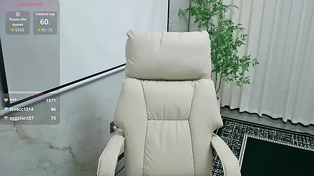 LUNYI-CC webcam