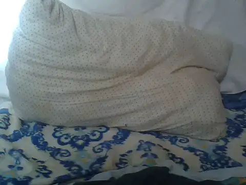 CohesiveCatching webcam