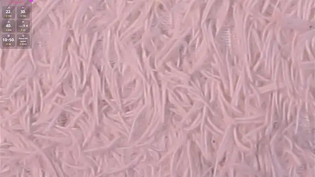 PearleneBolfa webcam