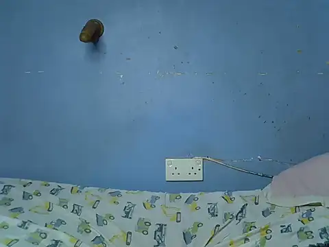 Slim_shy webcam