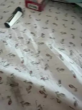 maialin69 webcam