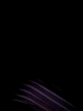 anasexy_ webcam