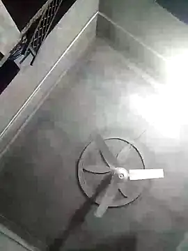 Loomaraj webcam