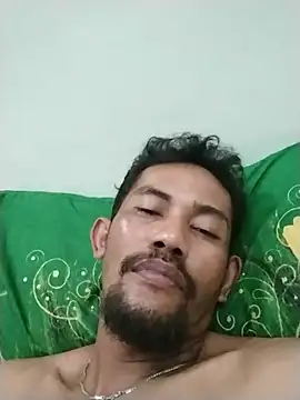 musehi17 webcam
