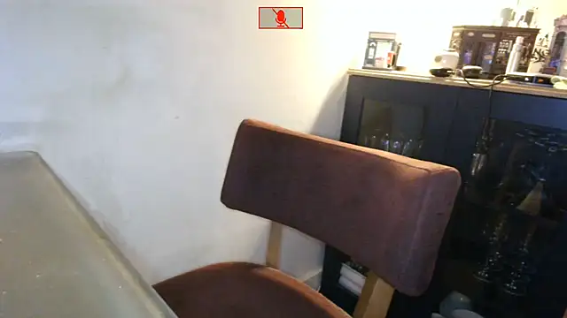 Hgay6935 webcam