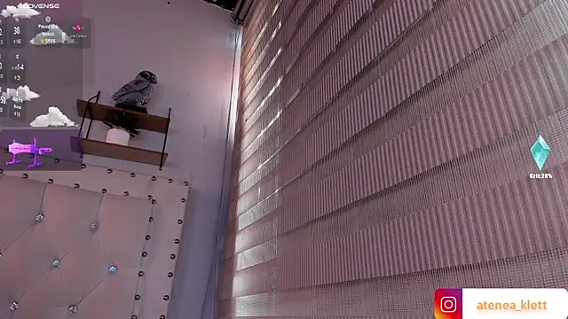 Atenea_Klett_ webcam