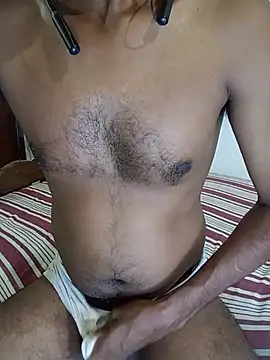 SL-Robinsan webcam
