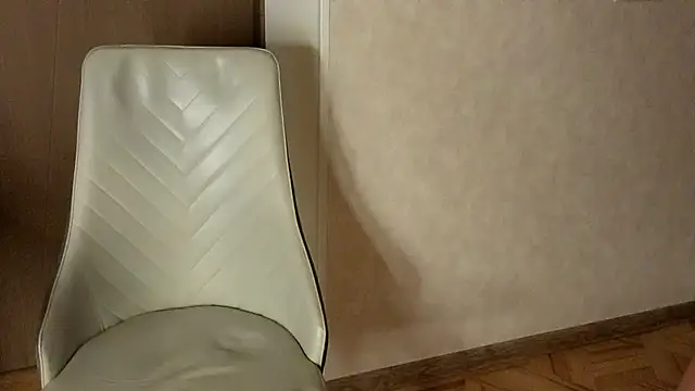NoFace_Model webcam