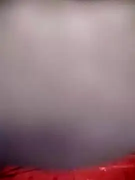 Loomaraj webcam