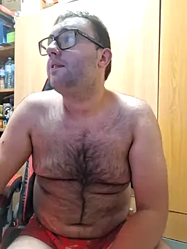 Javier_bear webcam
