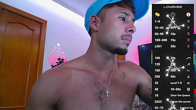denissteel webcam