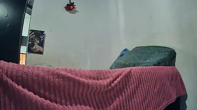 sk8-sir webcam