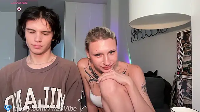 twl8vibe webcam