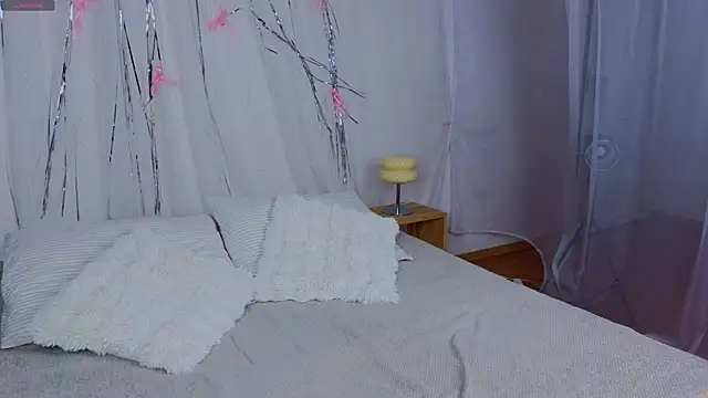 e1v1s webcam