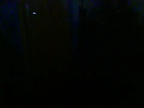 Dejanaceking webcam